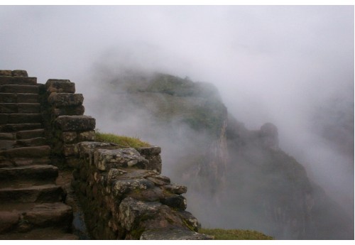 Camino Inca Inca - Month One Back Catalogue